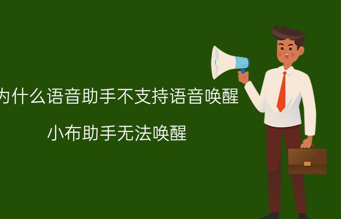 为什么语音助手不支持语音唤醒 小布助手无法唤醒？